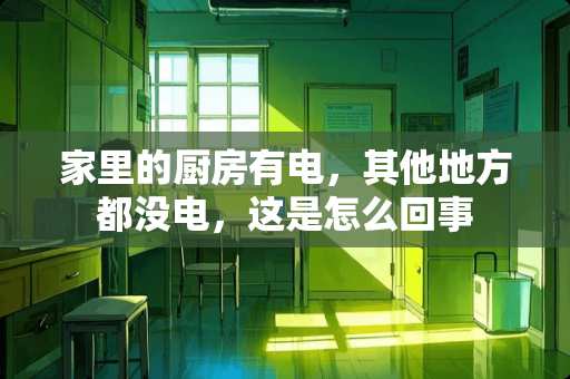 家里的厨房有电，其他地方都没电，这是怎么回事