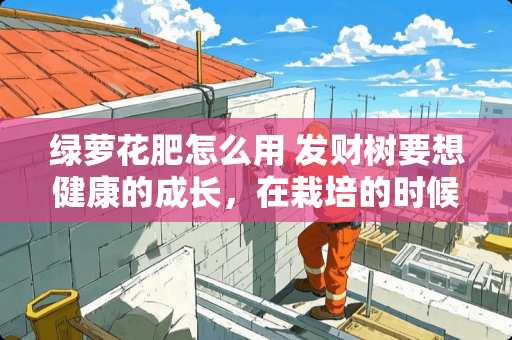 绿萝花肥怎么用 发财树要想健康的成长，在栽培的时候，应该如何进行浇水和施肥