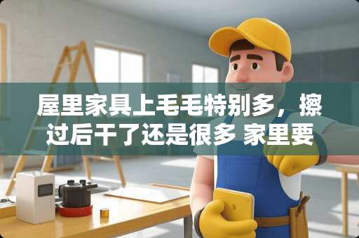 屋里家具上毛毛特别多，擦过后干了还是很多 家里要装修了，在哪儿定制家具好