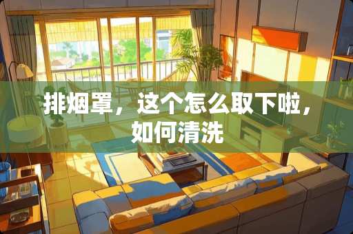 排烟罩，这个怎么取下啦，如何清洗