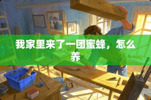 我家里来了一团蜜蜂，怎么养