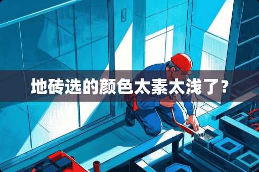 地砖选的颜色太素太浅了？