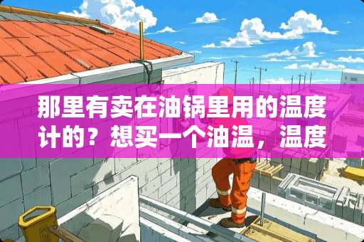 那里有卖在油锅里用的温度计的？想买一个油温，温度计