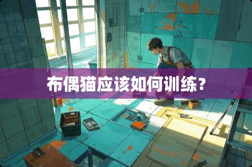 布偶猫应该如何训练？