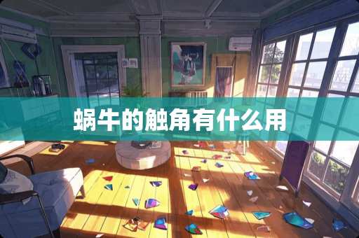 蜗牛的触角有什么用