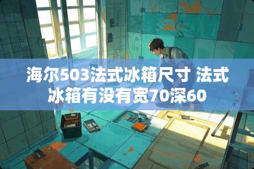 海尔503法式冰箱尺寸 法式冰箱有没有宽70深60