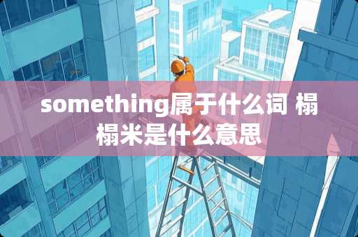 something属于什么词 榻榻米是什么意思