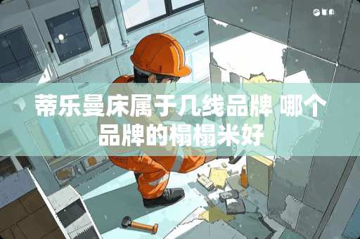 蒂乐曼床属于几线品牌 哪个品牌的榻榻米好