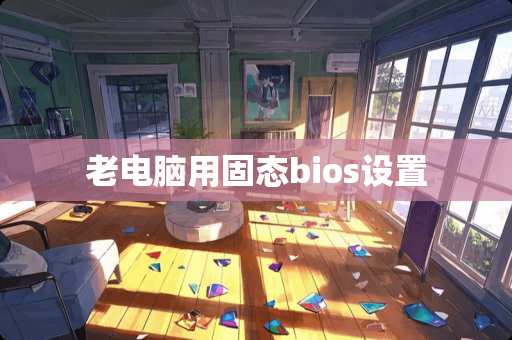 老电脑用固态bios设置