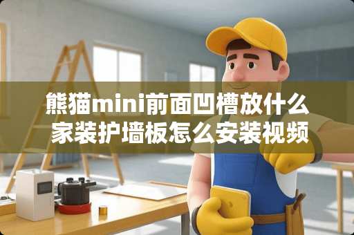 熊猫mini前面凹槽放什么 家装护墙板怎么安装视频