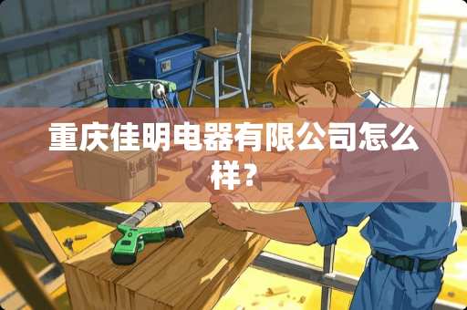 重庆佳明电器有限公司怎么样？