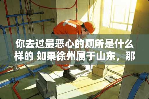 你去过最恶心的厕所是什么样的 如果徐州属于山东，那现在徐州会发展得更好吗