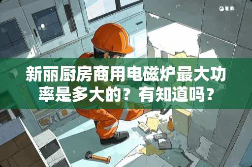 新丽厨房商用电磁炉最大功率是多大的？有知道吗？