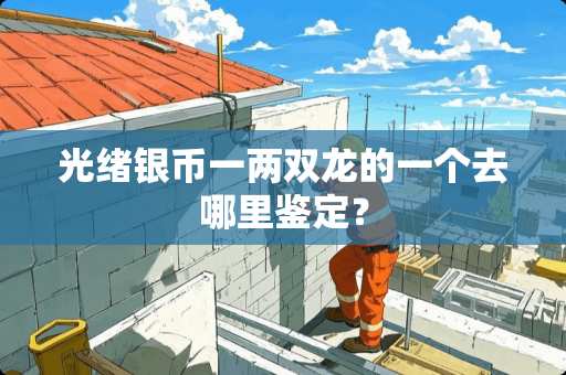 光绪银币一两双龙的一个去哪里鉴定？