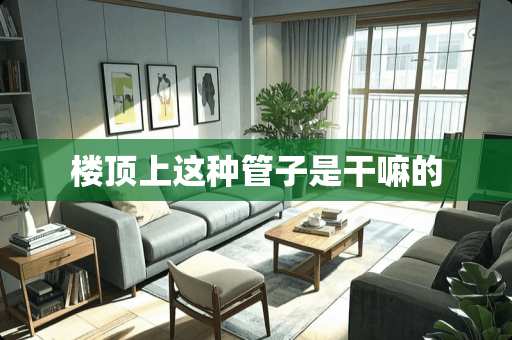 楼顶上这种管子是干嘛的