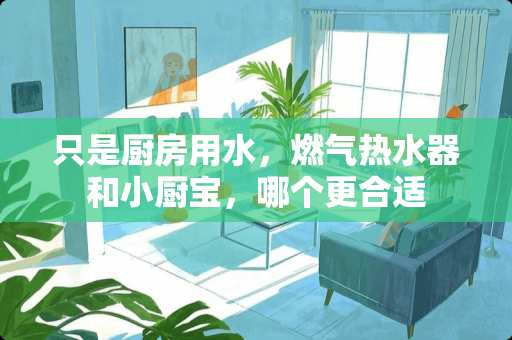只是厨房用水，燃气热水器和小厨宝，哪个更合适