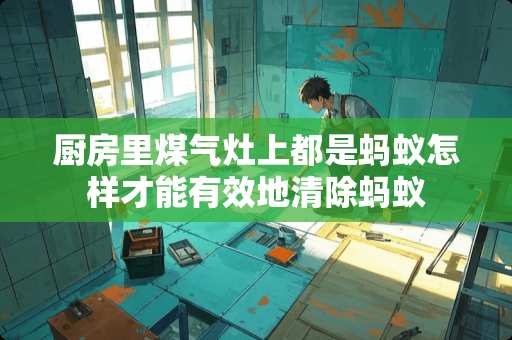 厨房里煤气灶上都是蚂蚁怎样才能有效地清除蚂蚁