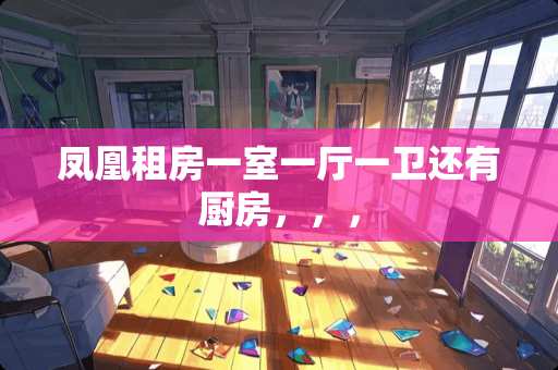 凤凰租房一室一厅一卫还有厨房，，，