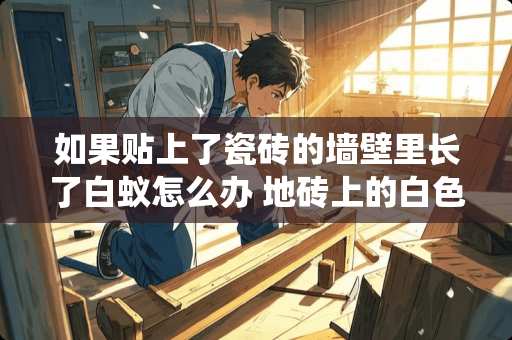 如果贴上了瓷砖的墙壁里长了白蚁怎么办 地砖上的白色小虫子怎么除掉