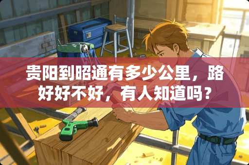 贵阳到昭通有多少公里，路好好不好，有人知道吗？