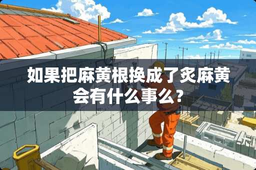 如果把麻黄根换成了炙麻黄会有什么事么？