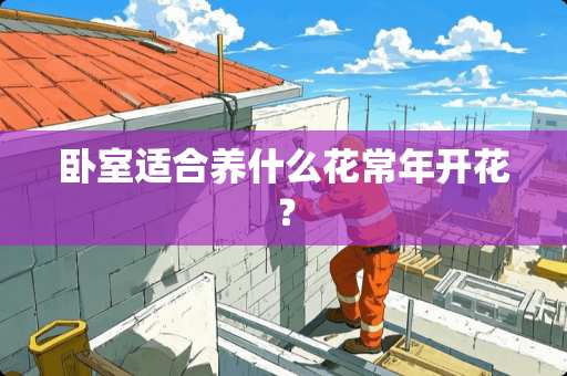 卧室适合养什么花常年开花？