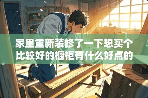 家里重新装修了一下想买个比较好的橱柜有什么好点的牌子推荐么？