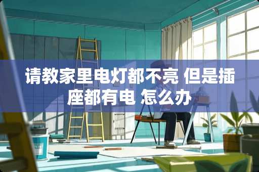 请教家里电灯都不亮 但是插座都有电 怎么办