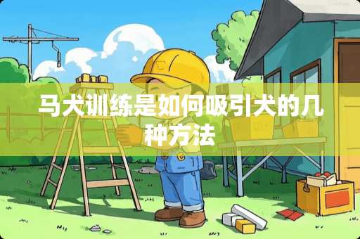 马犬训练是如何吸引犬的几种方法