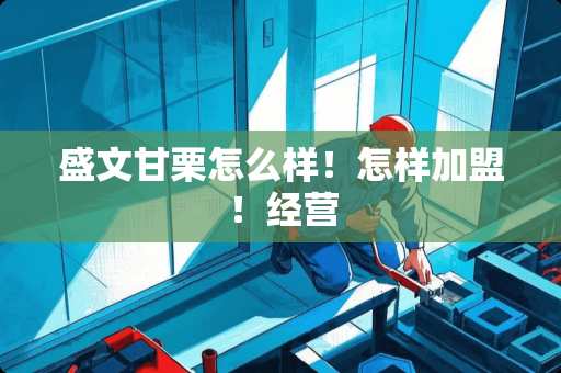 盛文甘栗怎么样！怎样加盟！经营