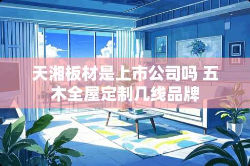 天湘板材是上市公司吗 五木全屋定制几线品牌