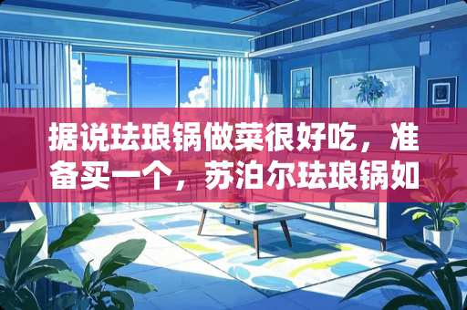 据说珐琅锅做菜很好吃，准备买一个，苏泊尔珐琅锅如何？