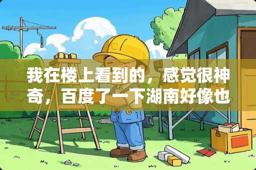 我在楼上看到的，感觉很神奇，百度了一下湖南好像也有人看到这个东西，这是什么？