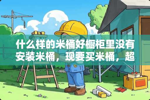 什么样的米桶好橱柜里没有安装米桶，现要买米桶，超市