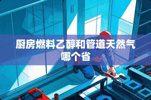 厨房燃料乙醇和管道天然气哪个省