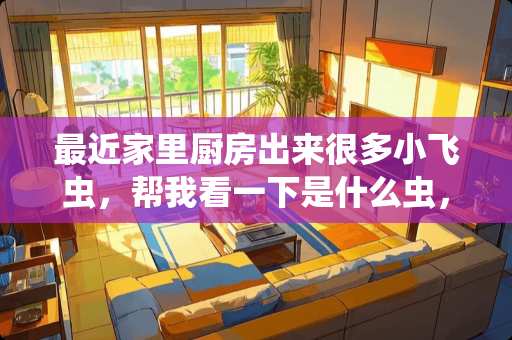 最近家里厨房出来很多小飞虫，帮我看一下是什么虫，不知道从哪里飞出来的？