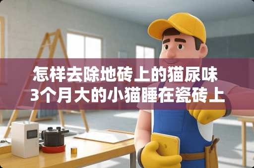 怎样去除地砖上的猫尿味 3个月大的小猫睡在瓷砖上可以吗 怎样去除地砖上的猫尿味 3个月大的小猫睡在瓷砖上可以吗