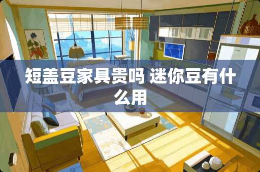 短盖豆家具贵吗 迷你豆有什么用