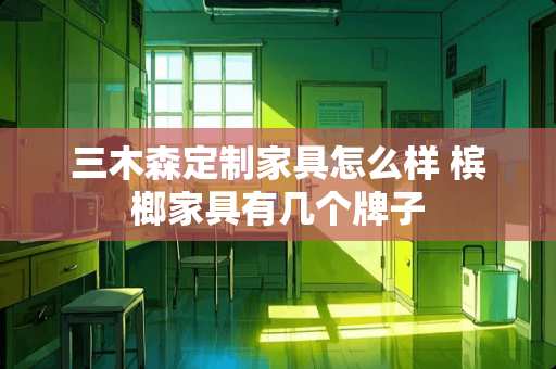 三木森定制家具怎么样 槟榔家具有几个牌子