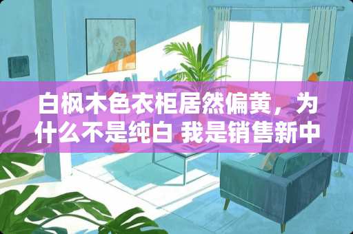 白枫木色衣柜居然偏黄，为什么不是纯白 我是销售新中式家具的，工作中顾客总是说家具颜色太深，如何巧妙化解这个问题