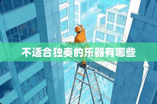 不适合独奏的乐器有哪些