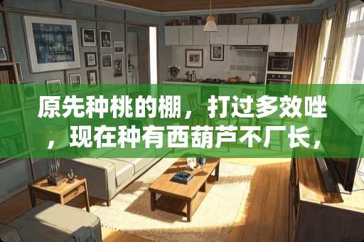 原先种桃的棚，打过多效唑，现在种有西葫芦不厂长，怎么治？