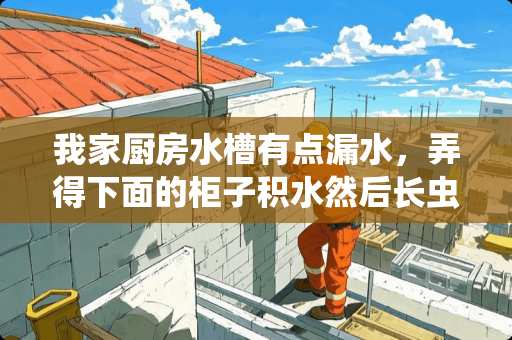 我家厨房水槽有点漏水，弄得下面的柜子积水然后长虫，怎么办？