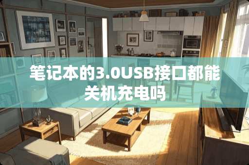 笔记本的3.0USB接口都能关机充电吗 笔记本的3.0USB接口都能关机充电吗