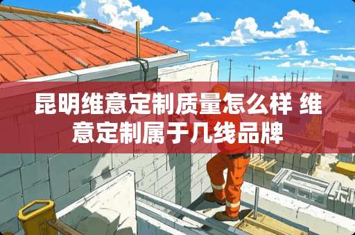 昆明维意定制质量怎么样 维意定制属于几线品牌