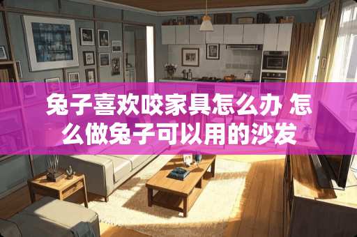 兔子喜欢咬家具怎么办 怎么做兔子可以用的沙发