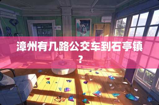 漳州有几路公交车到石亭镇？