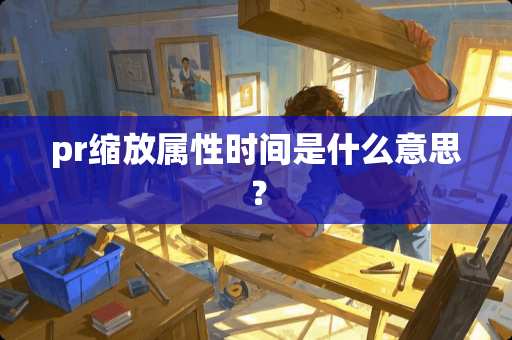 pr缩放属性时间是什么意思？