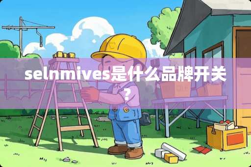selnmives是什么品牌开关？