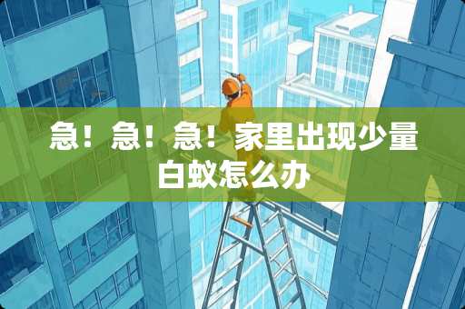 急！急！急！家里出现少量白蚁怎么办